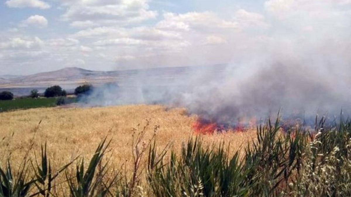 Elazığ'da arpa ekili tarlada yangın çıktı