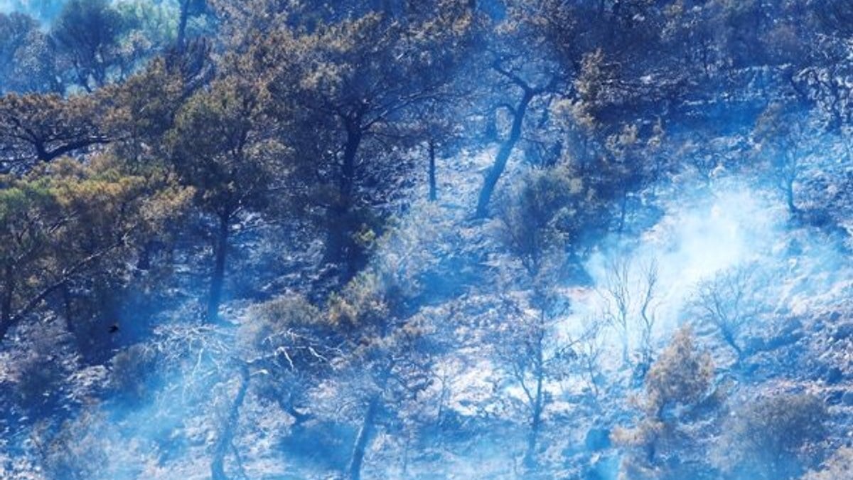 Muğla'da ormanlık alan yandı