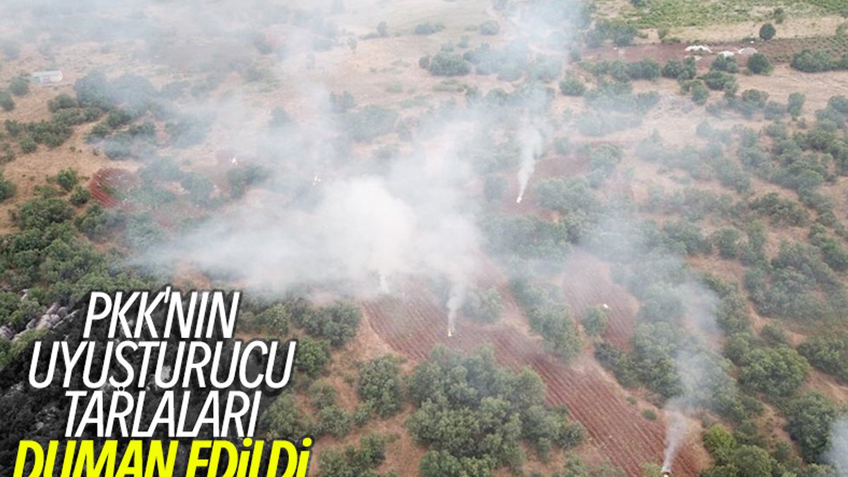 Diyarbakır'da 14 gün içinde 3 ton esrar ele geçirildi