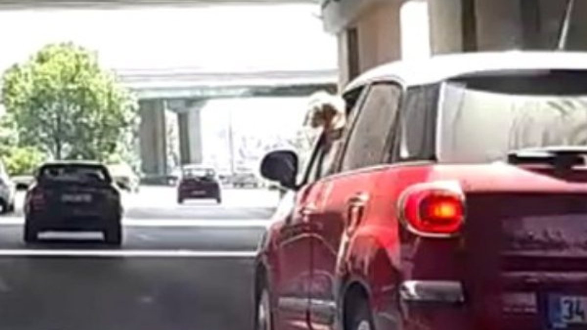 İstanbul'da kucağında köpekle araç kullanan kadın