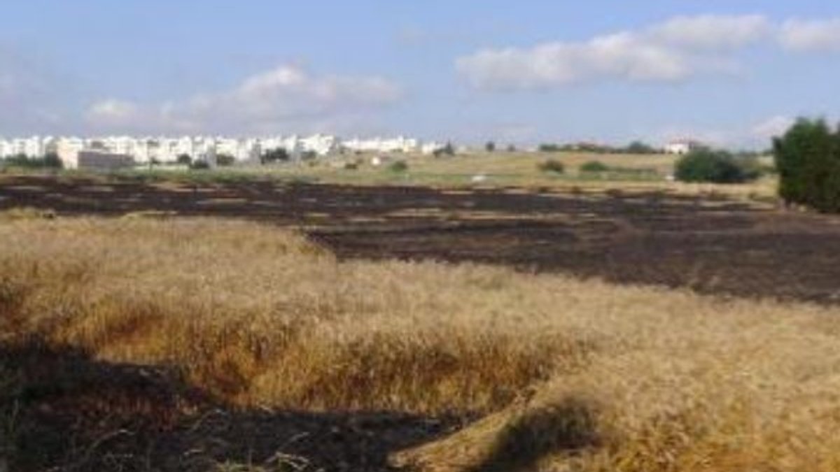 Silivri'de buğday tarlası kül oldu