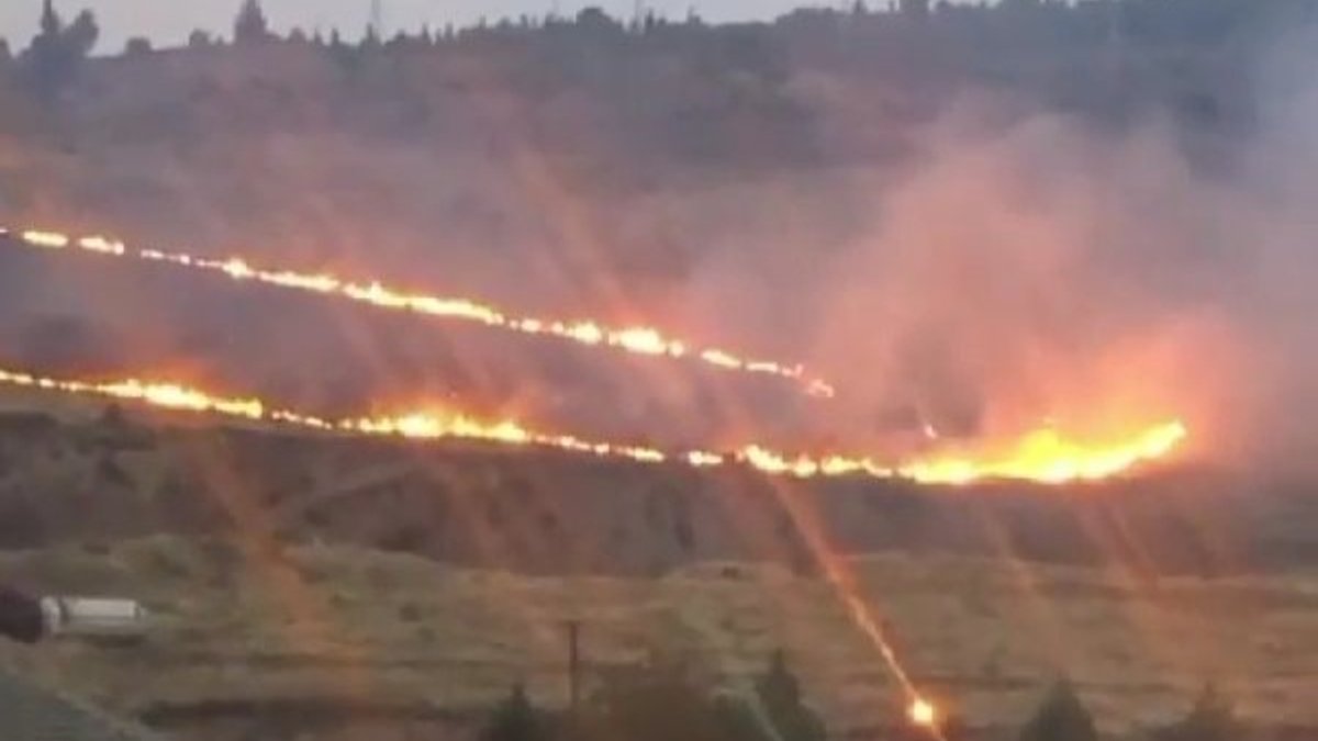 İzmir'de bir ormanda yangın çıktı
