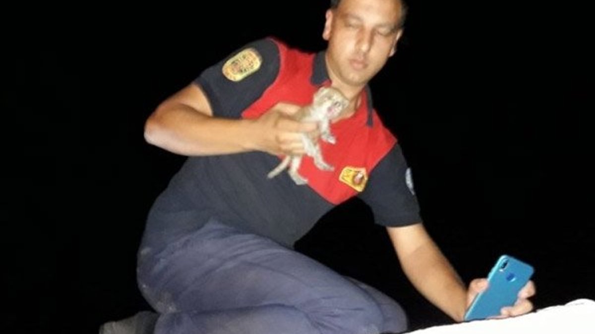 Muğla'da soba bacasına düşen yavru kedi kurtarıldı