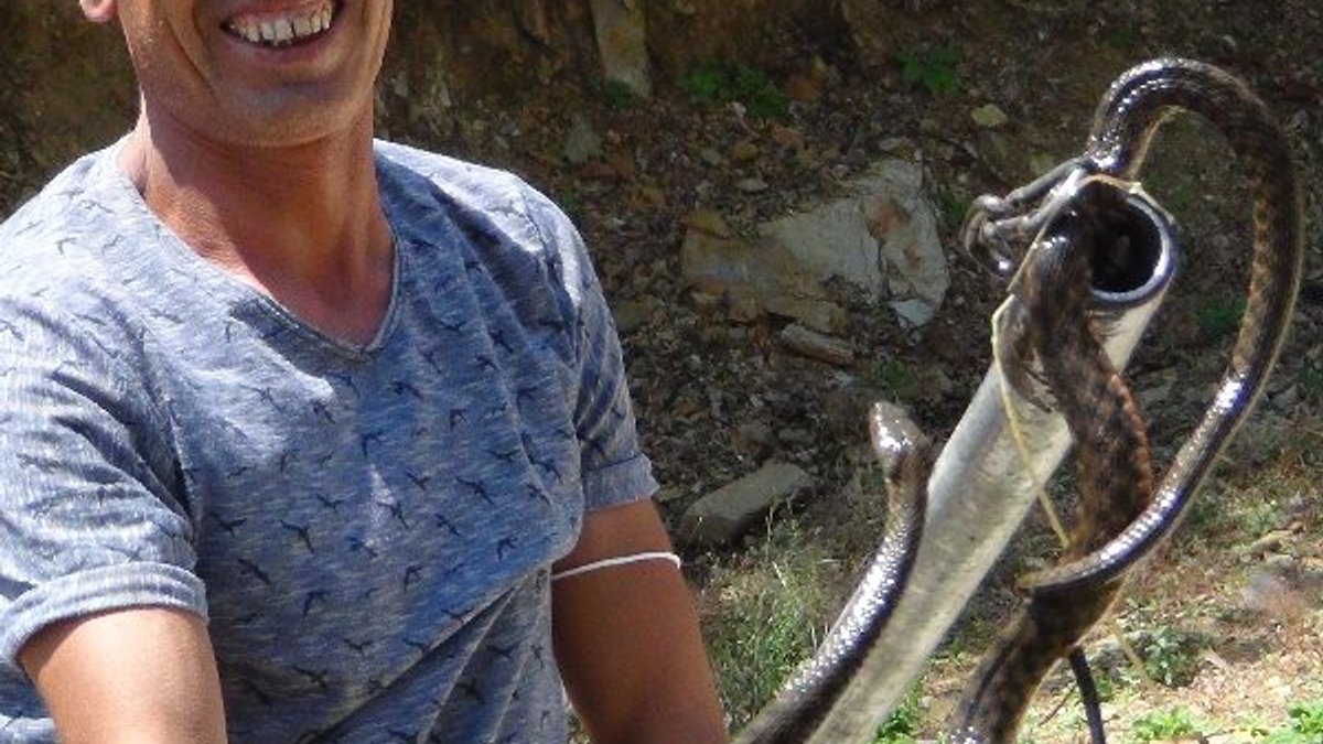 Gaziantep'te sulama kanalından zehirli yılan çıktı