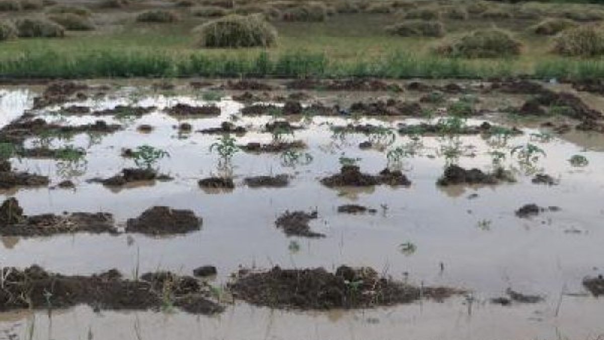 Hakkari'de sel ekili tarım arazilerine zarar verdi