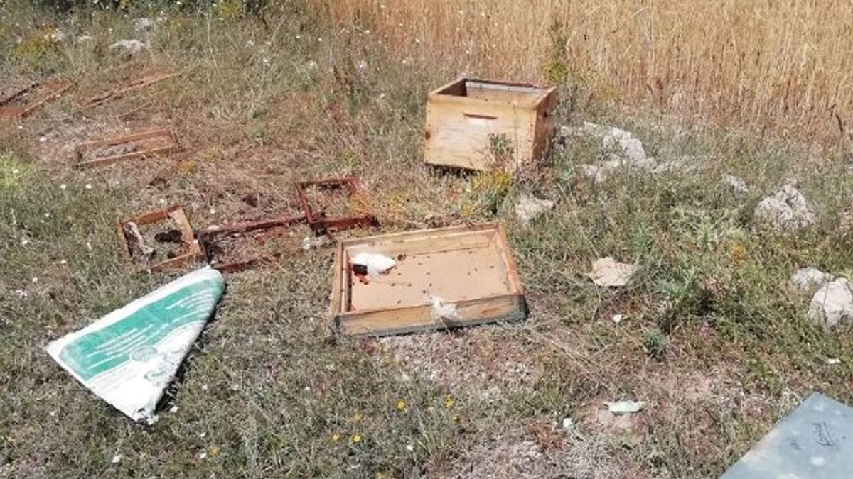 Kütahya'da ayılar arı kovanlarını parçaladı