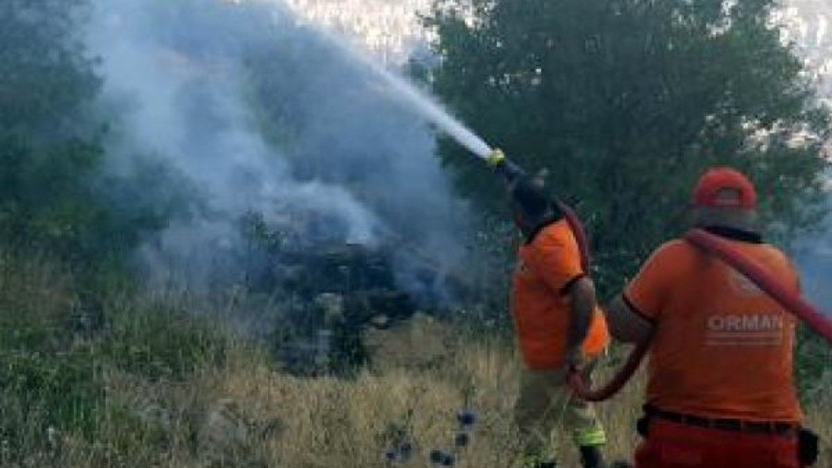 Kahramanmaraş'ta bahçede yakılan ateş ormana sıçradı