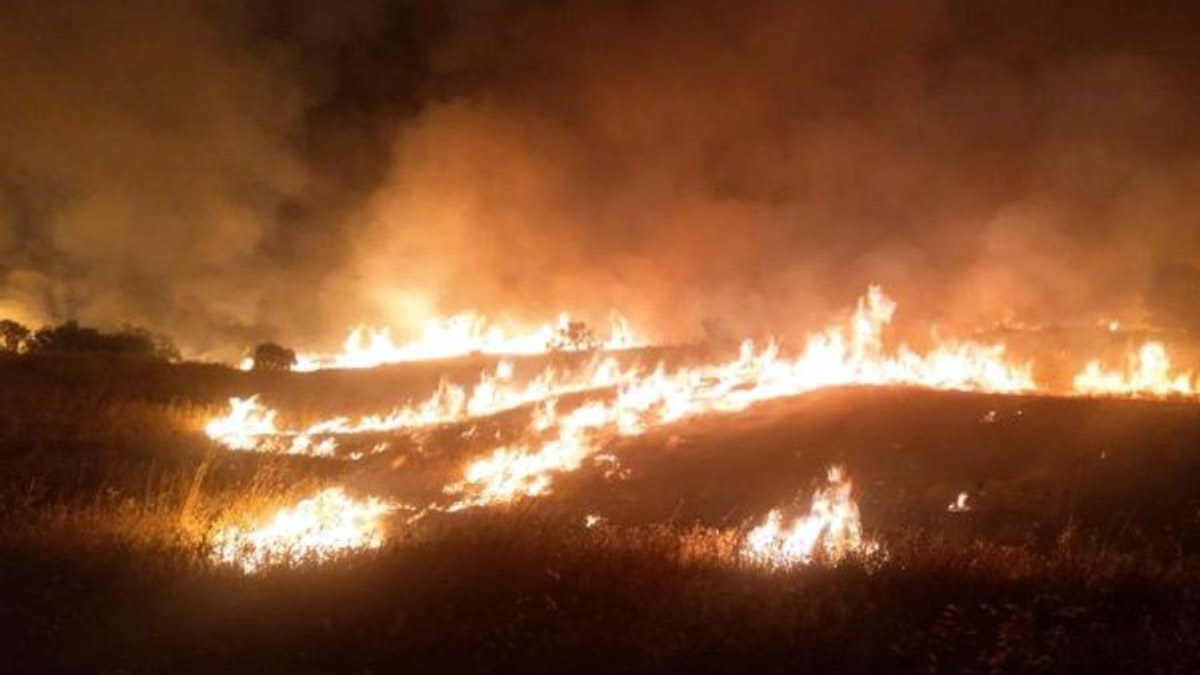 Elazığ'da ormanlık alanda yangın