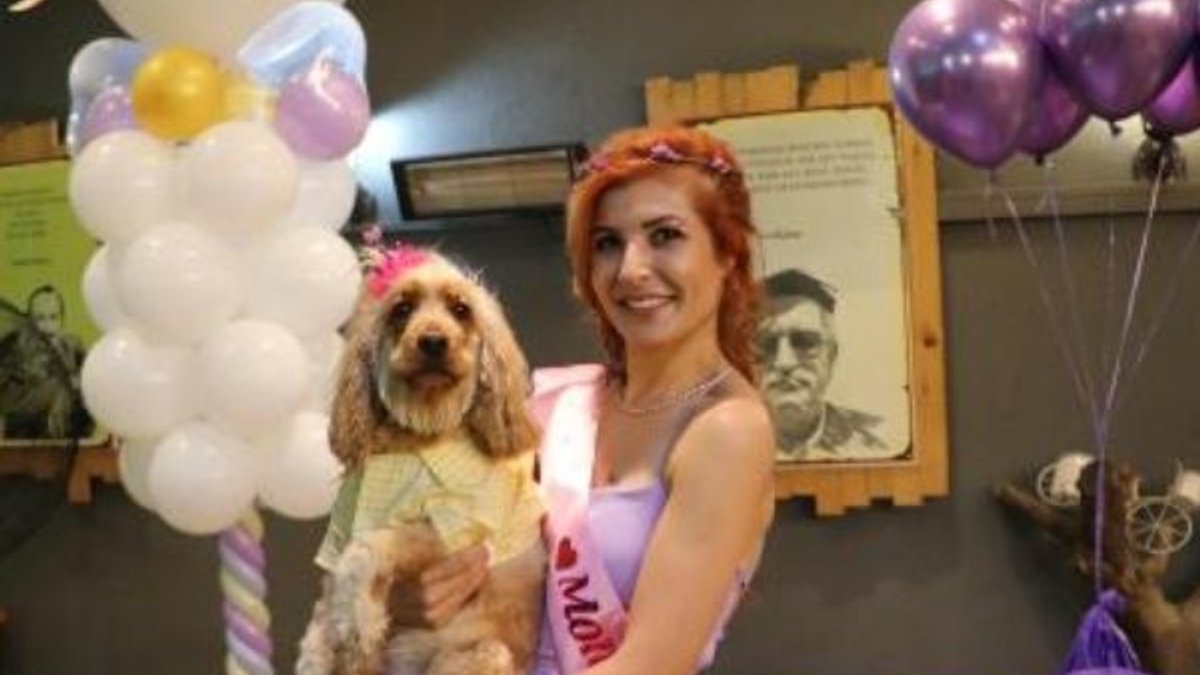 Denizli'de köpeği Putin'e doğum günü partisi yaptı