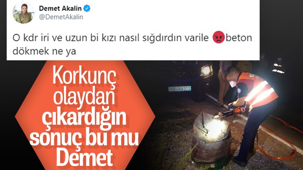 Demet Akalın'ın Pınar Gültekin tweet'i