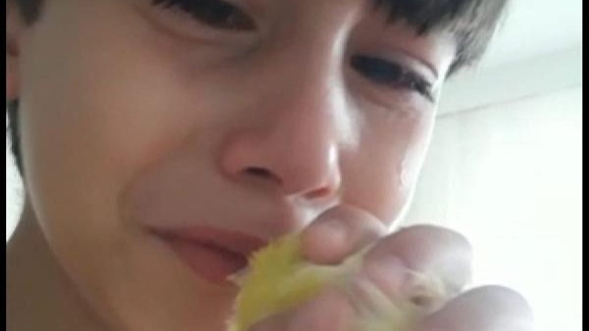 Bursa'da ölen kuşu Limon'a ağlayarak veda etti