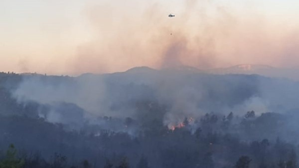 Antalya Manavgat'ta orman yangını konrol altına alındı