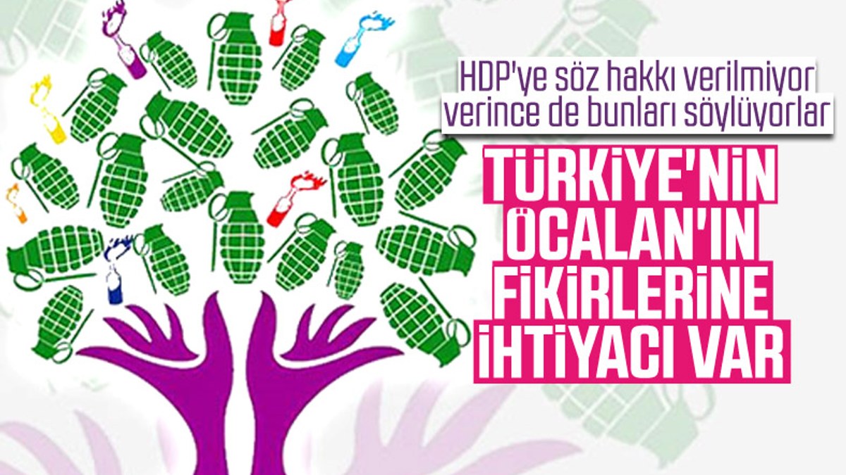 HDP'li vekile göre Türkiye'nin Öcalan'a ihtiyacı var