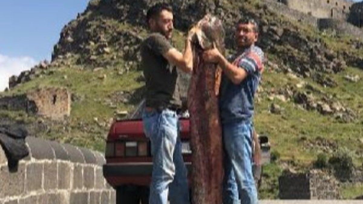 Kars'ta 2 kardeş, 2 metre uzunluğunda balık yakaladı