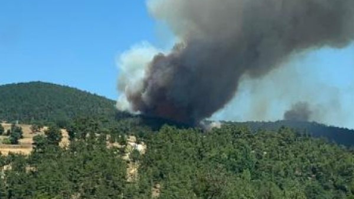 Çanakkale Yenice'de orman yangını