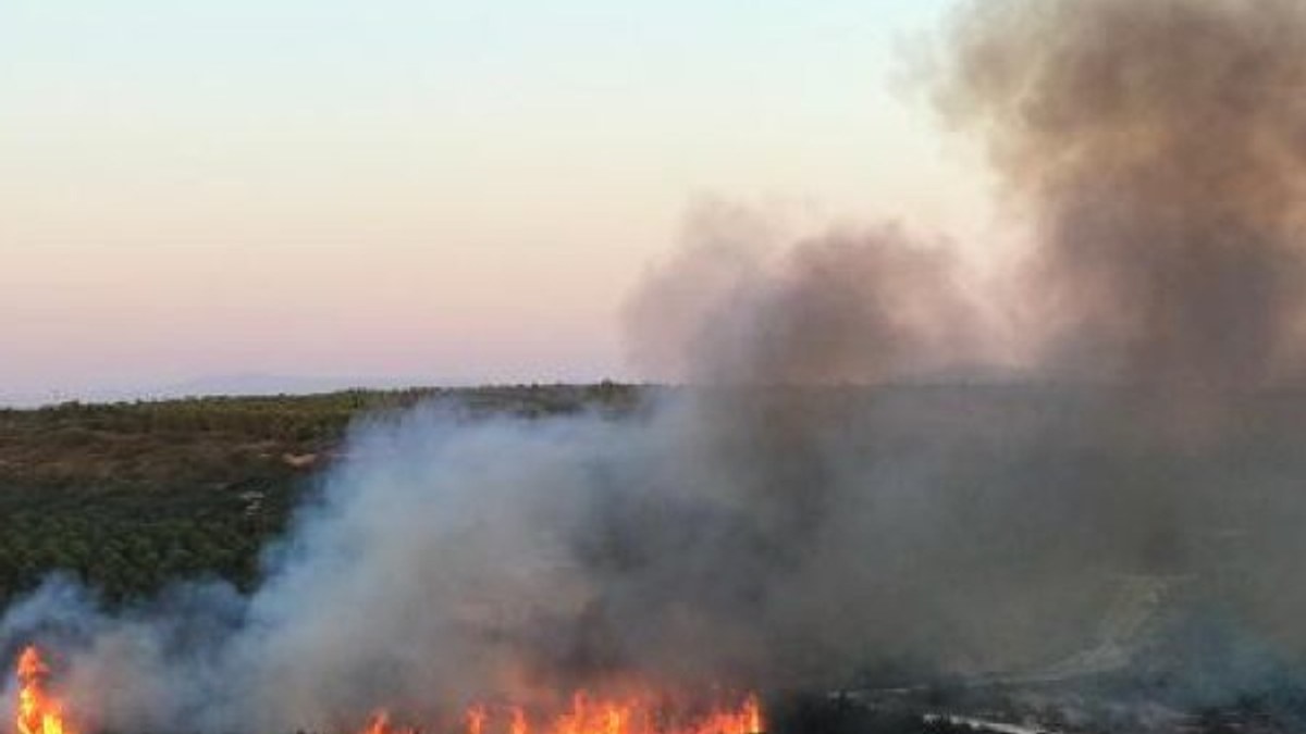 Bozcaada'da makilik alanda yangın
