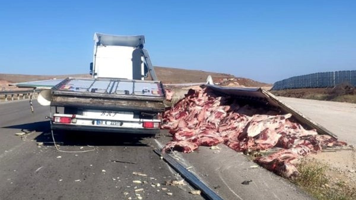 Sivas'ta tırdaki etler yola döküldü