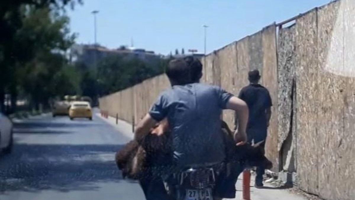 Gaziantep'te motosiklete koyunla beraber bindiler