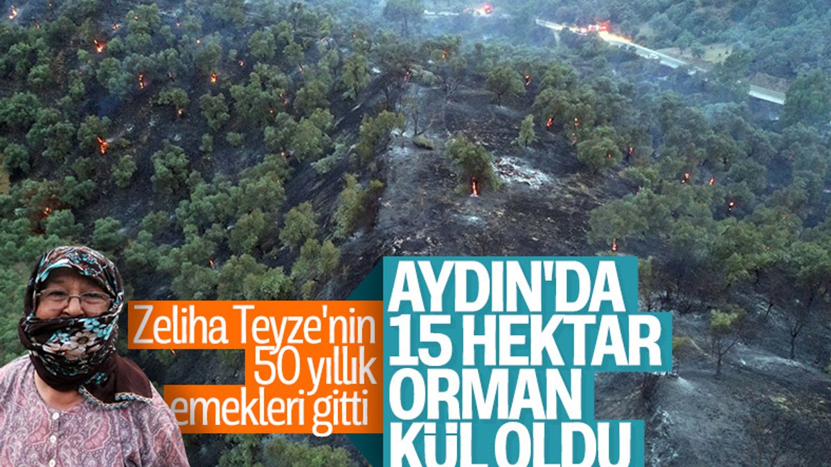 Aydın'da ağaçlık arazide yangın çıktı