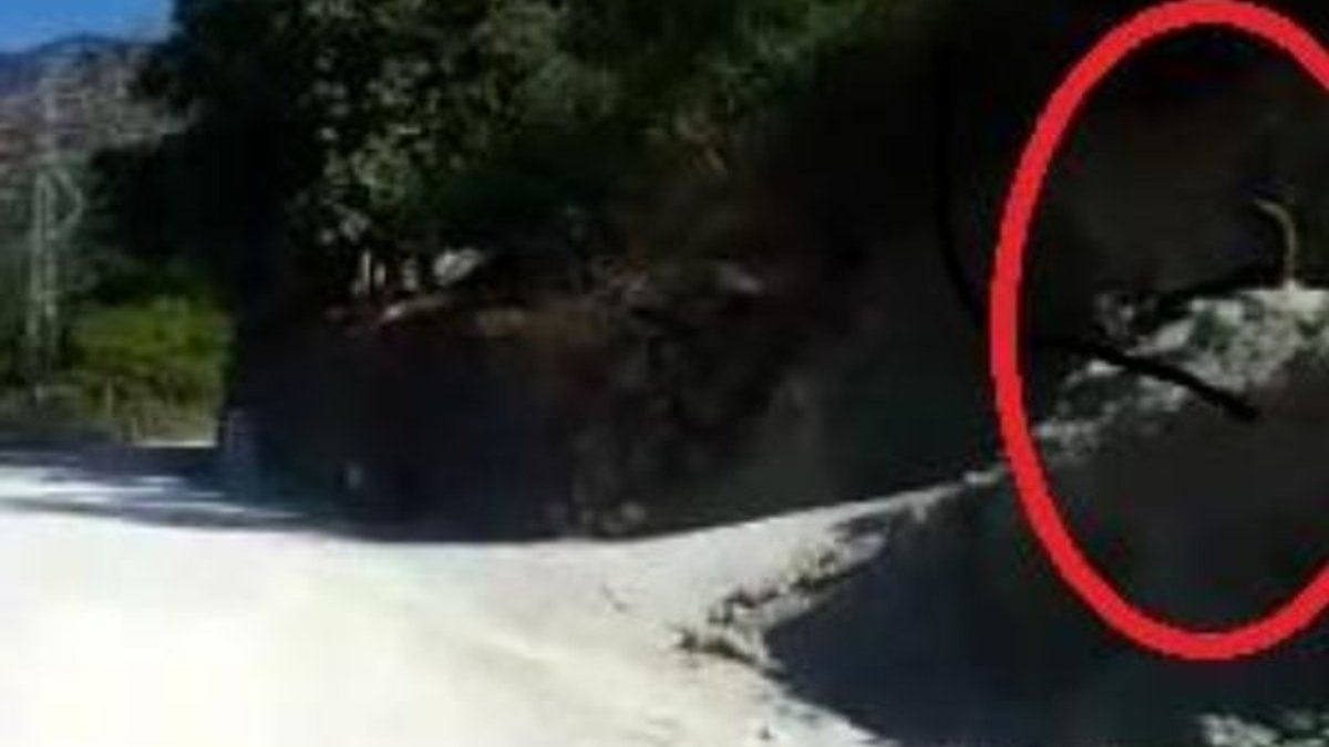 Gaziantep'te köpeğin saldırısına uğrayan motosikletli