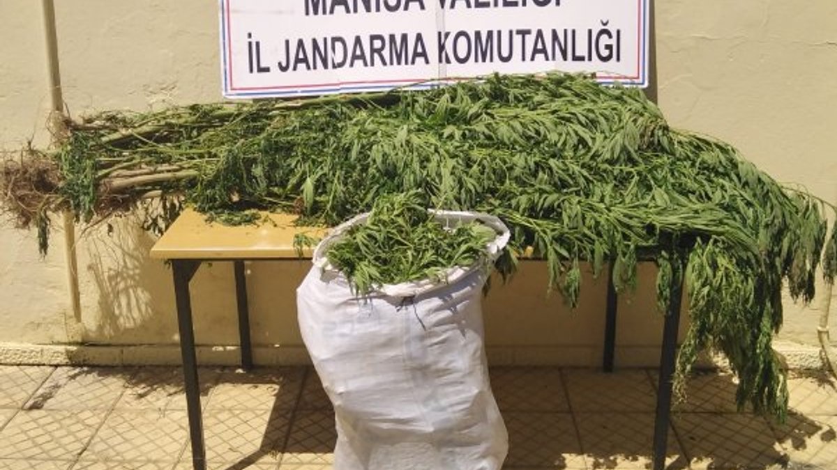 Manisa'da 12 kilo esrarı çuvalla taşırken yakalandılar