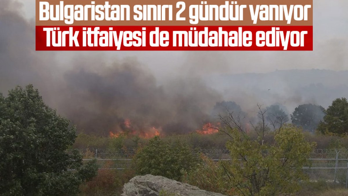 Bulgaristan sınırındaki yangın, Türkiye'yi alarma geçirdi
