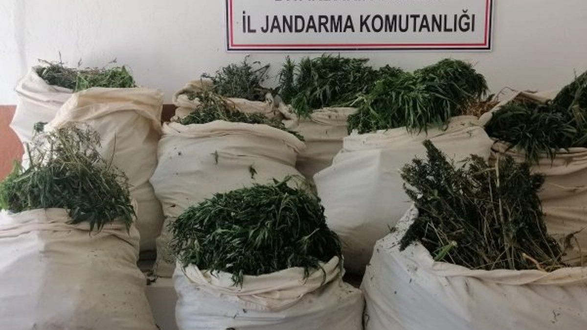 Diyarbakır’da örgüte darbe: 176 kilo esrar ele geçirildi