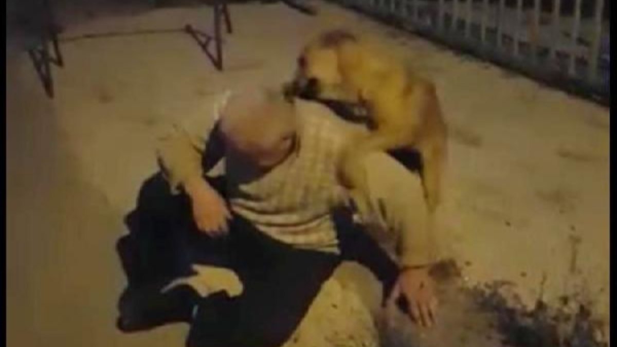 Zonguldak'ta kayıp köpeğiyle 3 ay sonra kavuştu