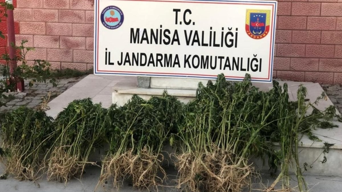 Manisa'da uyuşturucu operasyonu düzenlendi