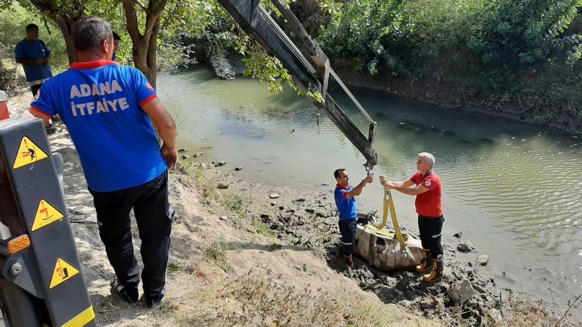 Adana'da çamura saplanan ineği itfaiye kurtardı