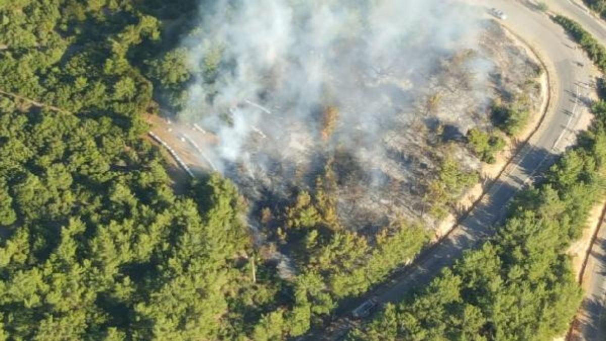 İzmir'de, orman yangını kontrol altına alını
