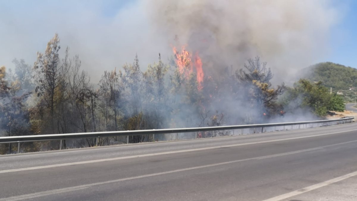 Antalya'da lastiği patlayan kamyon, yangına neden oldu