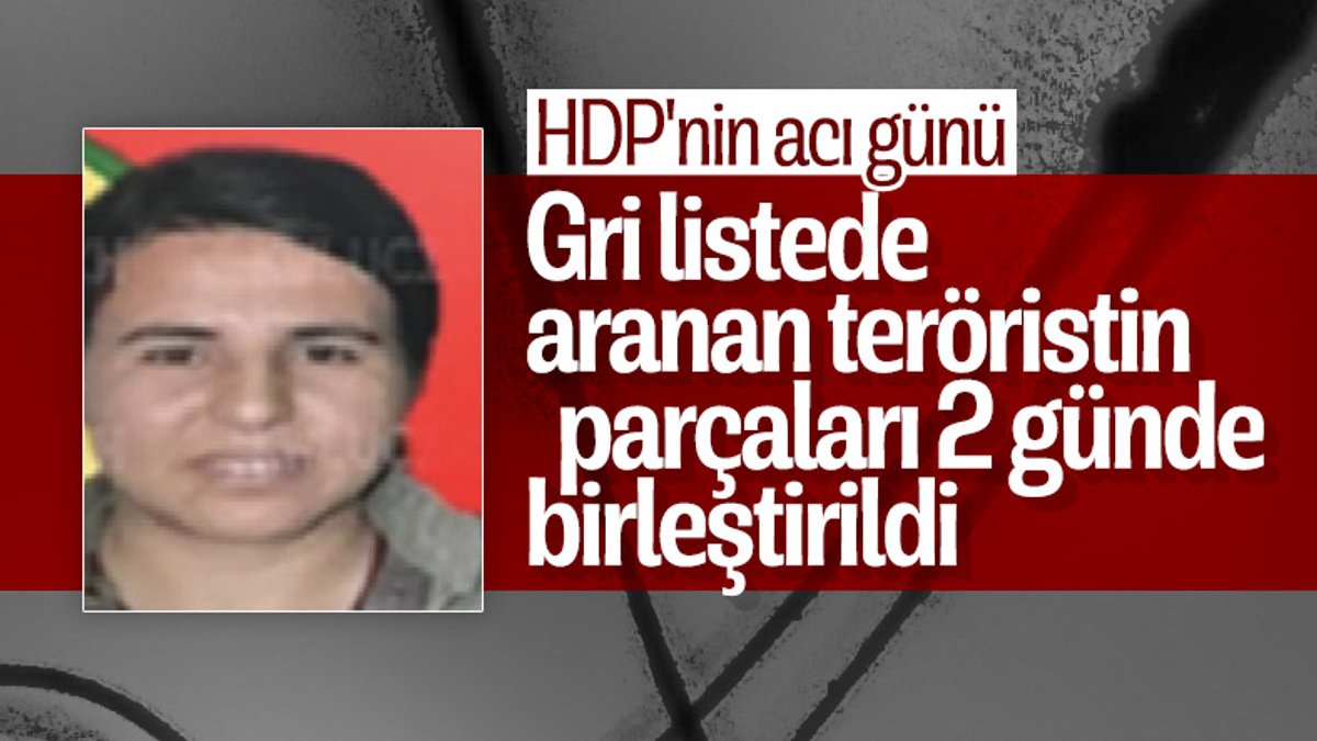 Gri listede aranan terörist Sultan Oruç öldürüldü