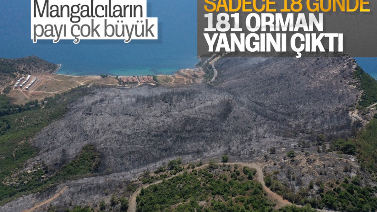 Türkiye'de orman yangınları bitmiyor