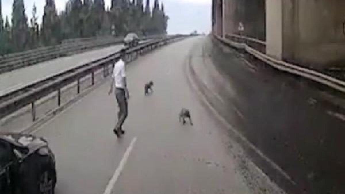 Kocaeli'de, araçların arasında kalan yavru köpekler kurtarıldı