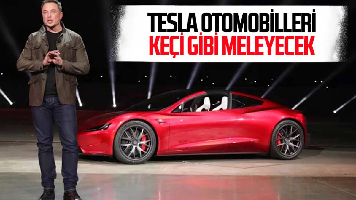 Elon Musk: Tesla araçları keçi gibi meleyecek