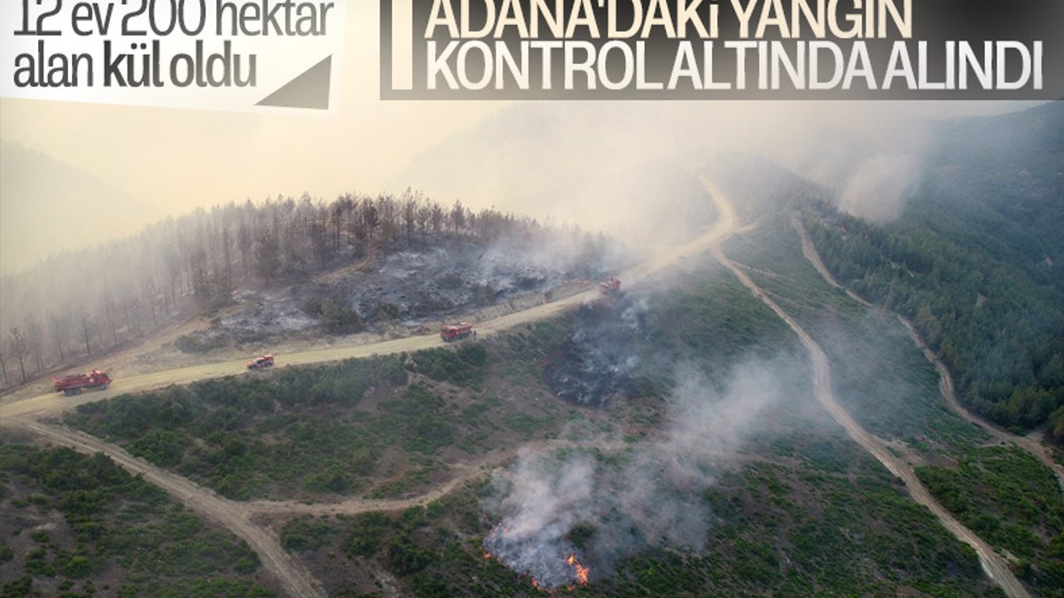 Tarım ve Orman Bakanı Bekir Pakdemirli: Yangın kasıtlı çıkarılmış olabilir