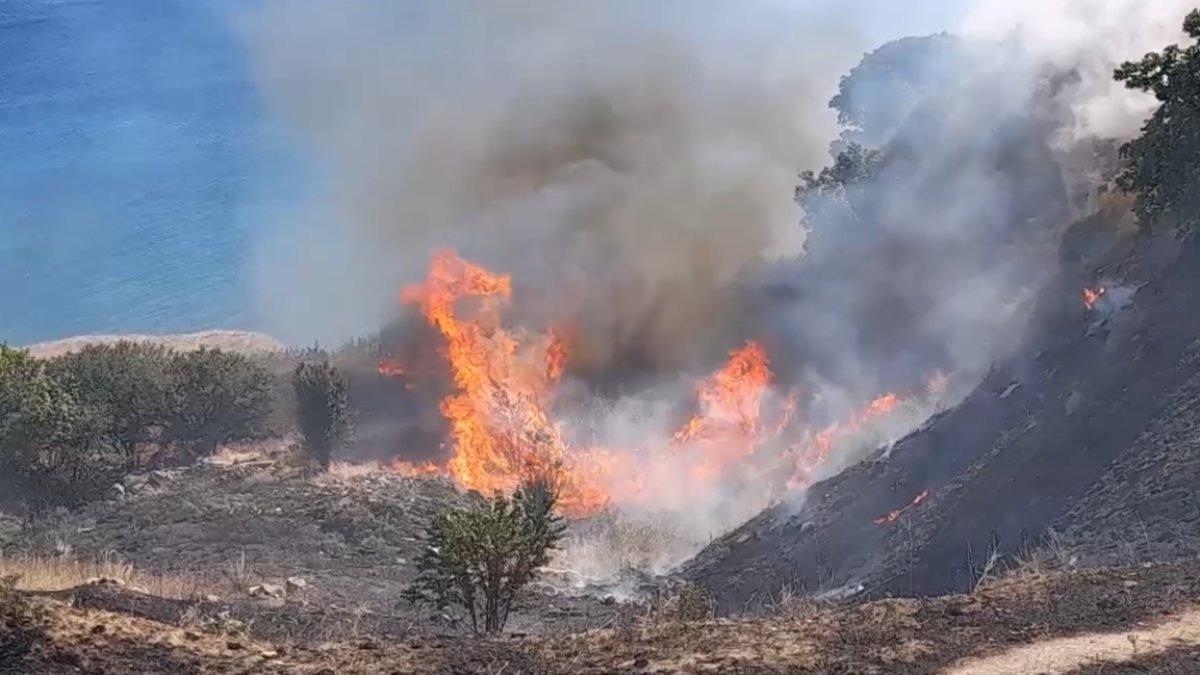 Silivri'de mangal yakan tatilci yangın çıkardı