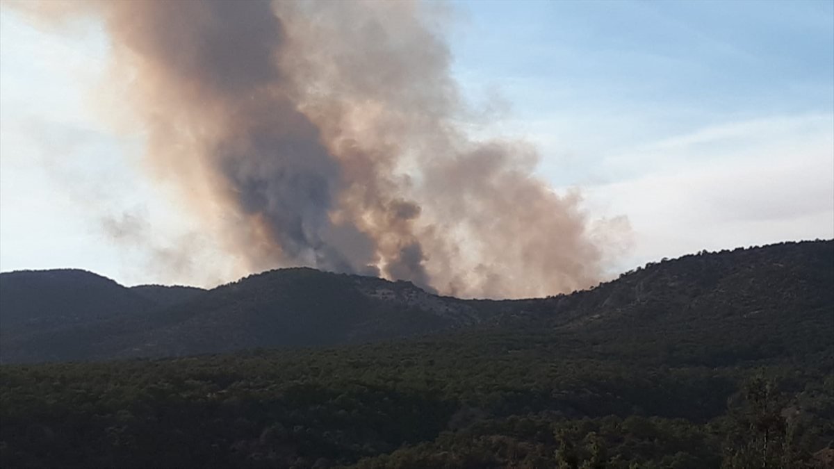 Ankara'da orman yangını