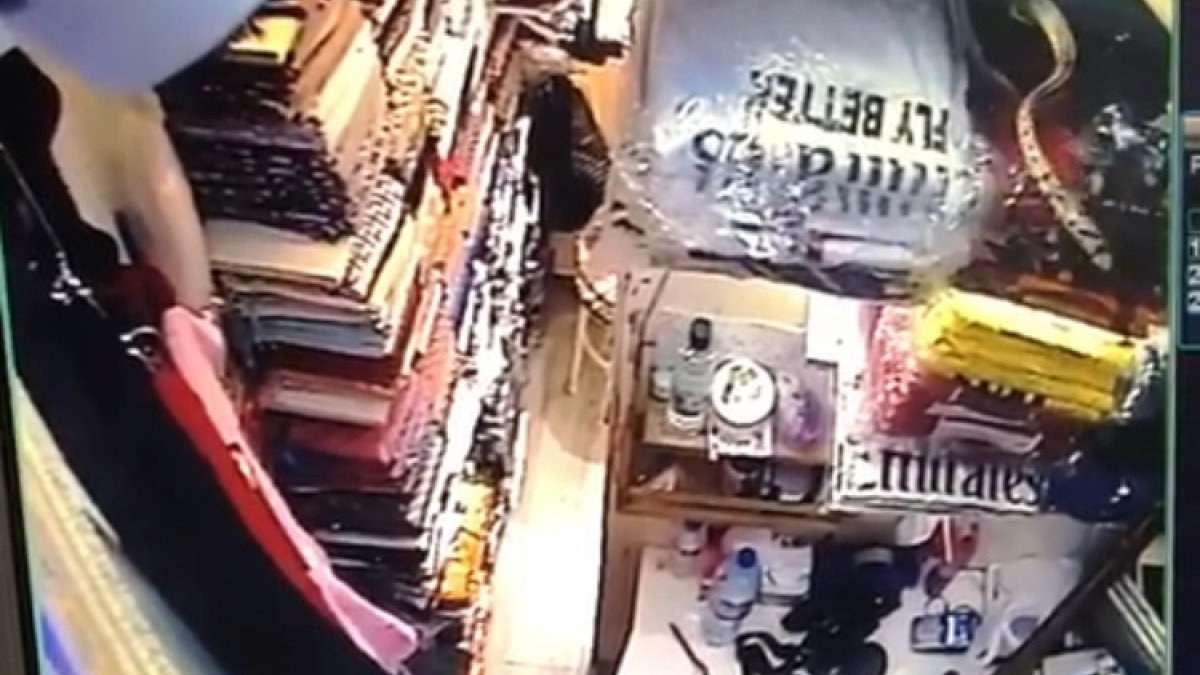 İstanbul'da giyim dükkanının tavanından sarkan yılan, çalışana saldırdı