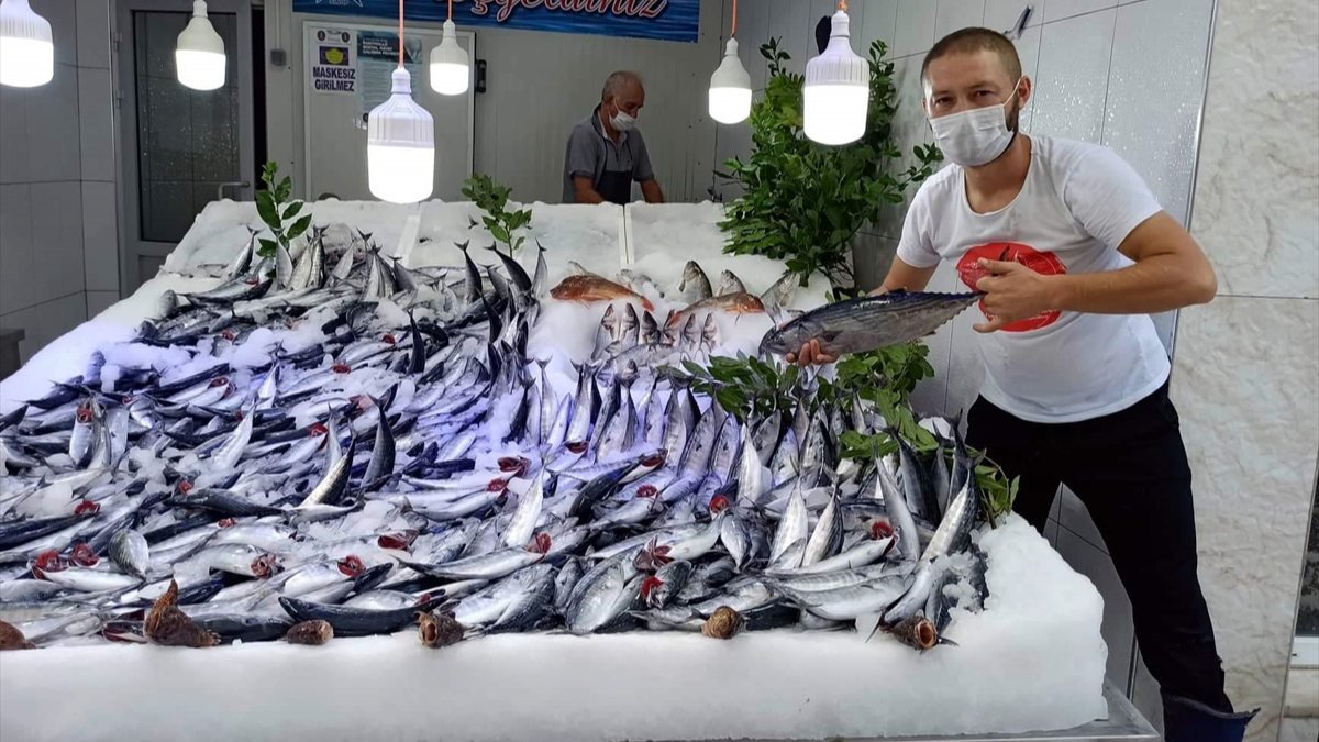 Sinop'ta palamut, balıkçıların yüzünü güldürdü
