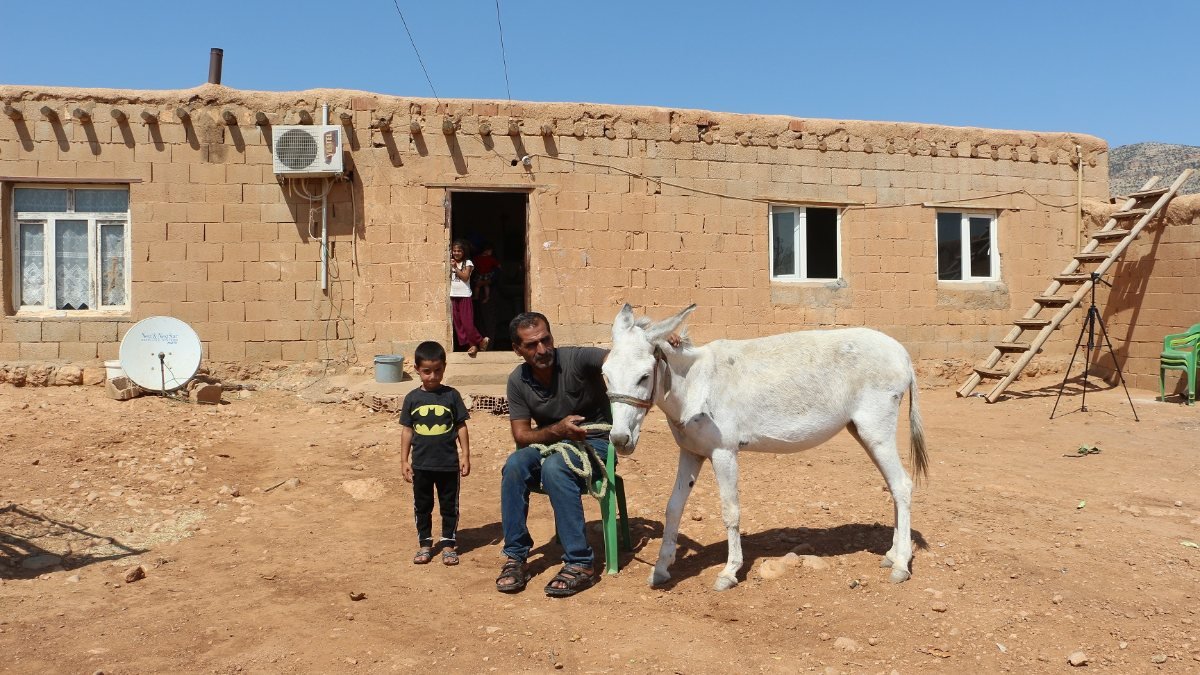 Mardin'de taksitle aldığı eşeğin borcunu ödeyemeyen çoban yardım istiyor