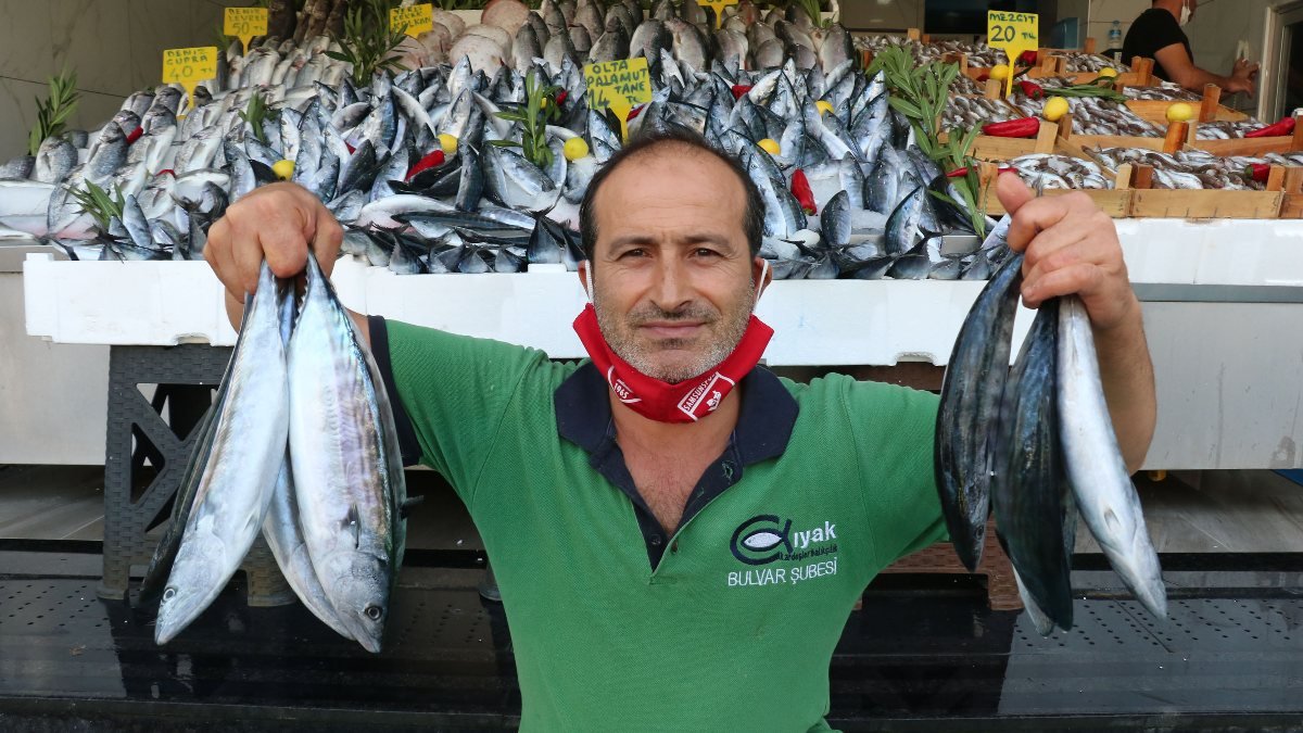 Karadeniz'de palamut bolluğu, balıkçıların yüzünü güldürdü