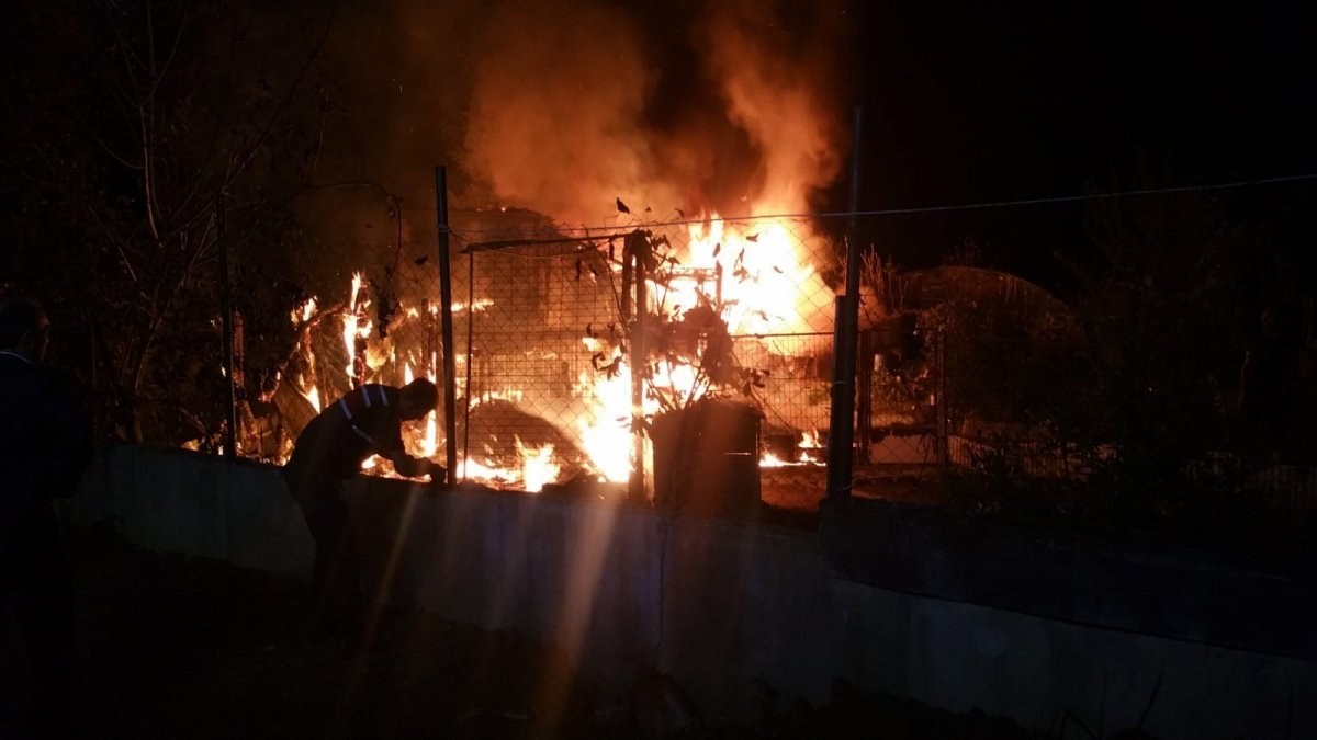 Gebze’deki çiftlikte kümesler yandı: 250’den fazla kanatlı hayvan telef oldu