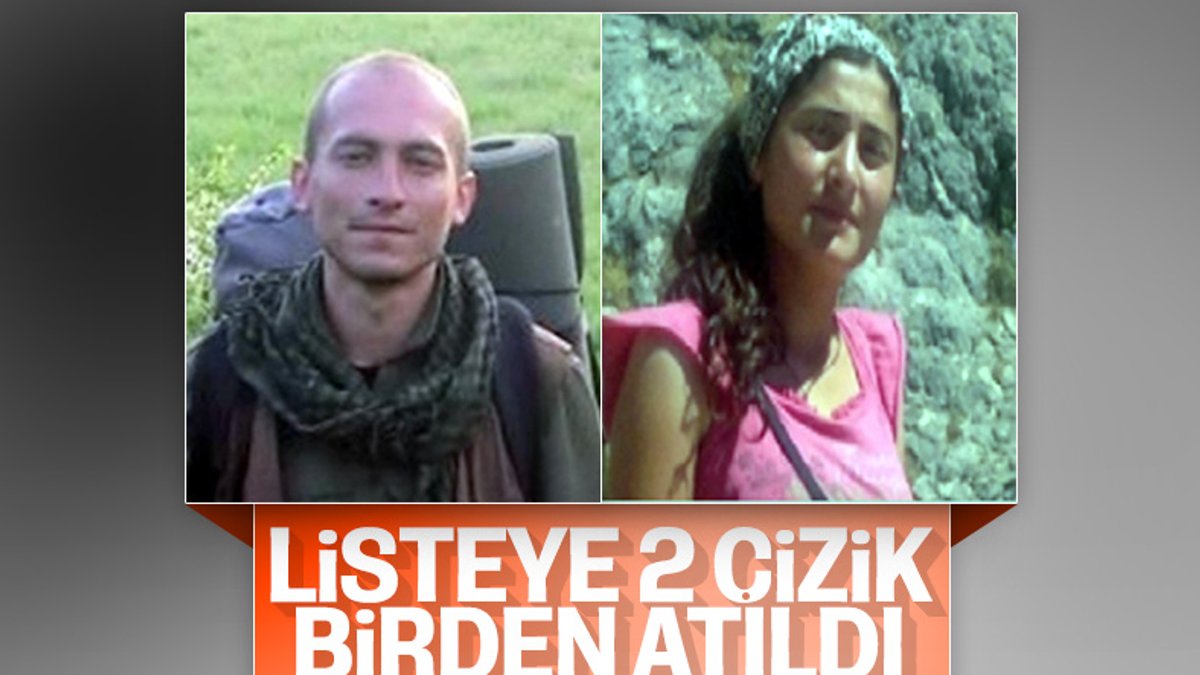 Tunceli'de kırmızı listedeki terörist yakalandı