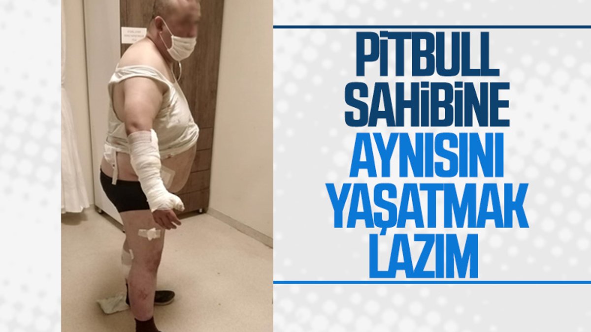 Antalya'da tatil için yerleştiği otelde pitbull saldırısına uğradı