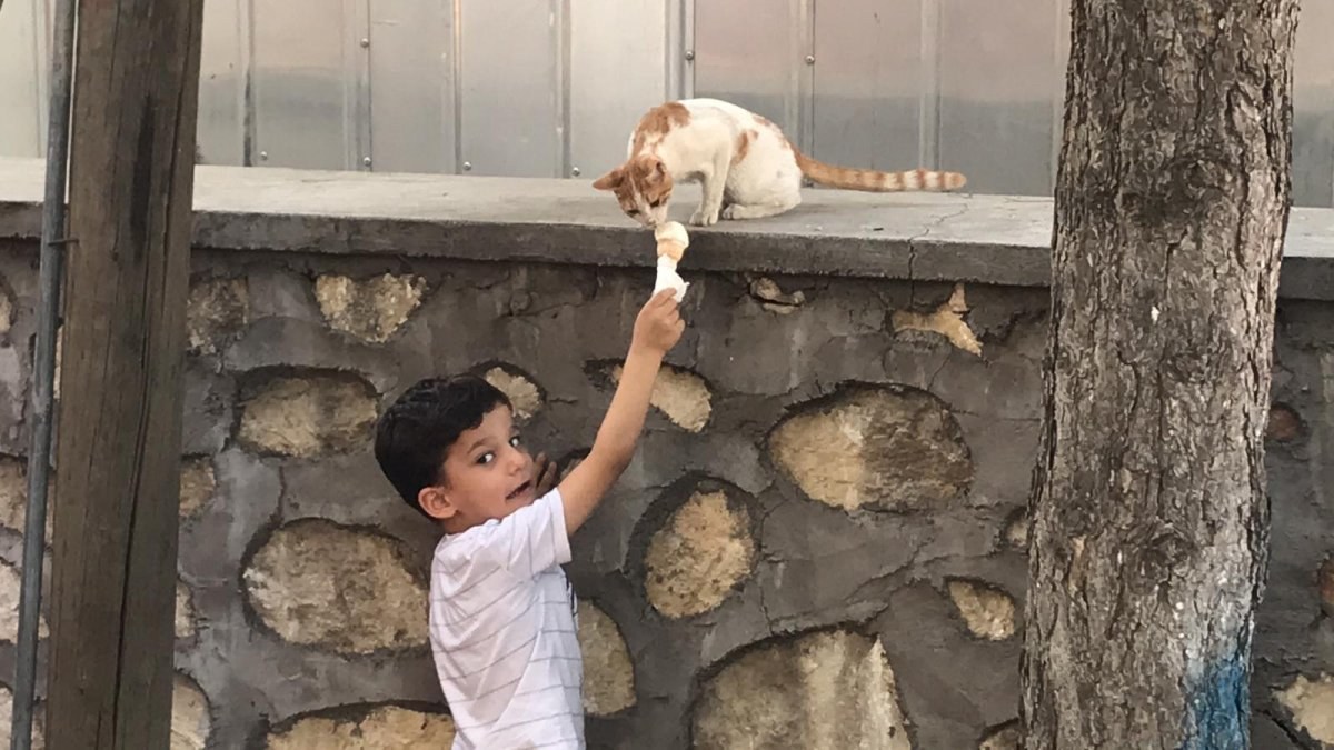 Adıyaman'da 6 yaşındaki Çınar, kediye dondurmasından yedirdi