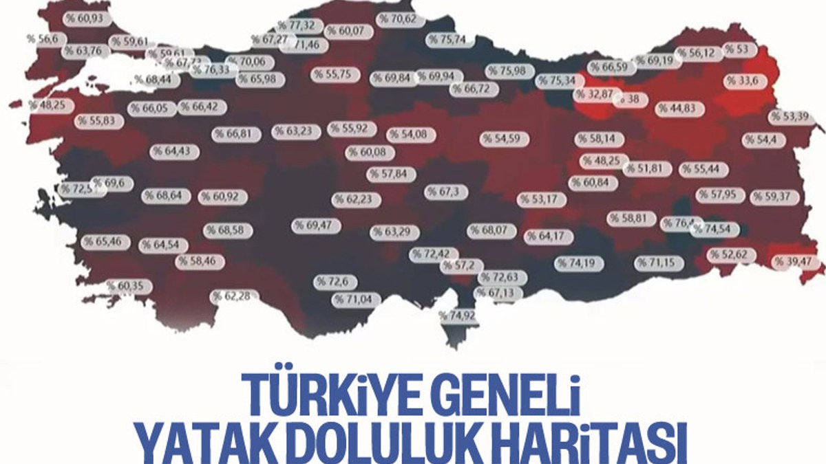 Türkiye'de hastanelerdeki yatak doluluk oranları