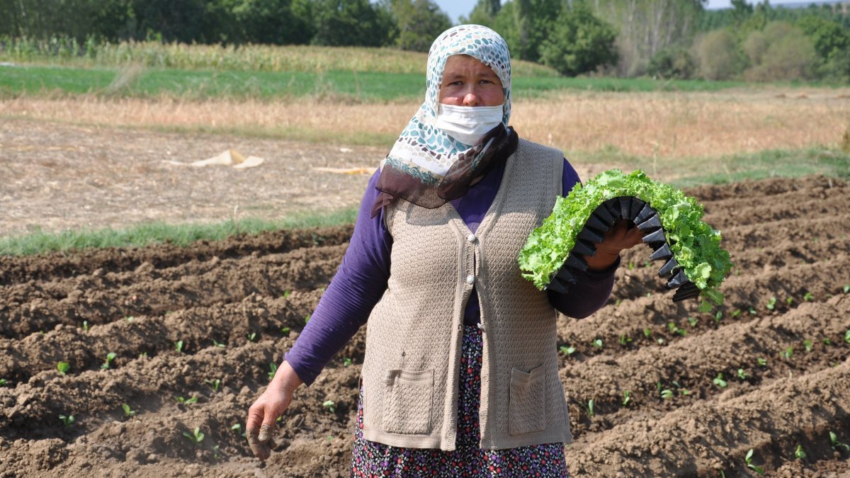 Kütahya'da köylüler, tarım arazilerinin 'sanayileştirilmesini' istemiyor