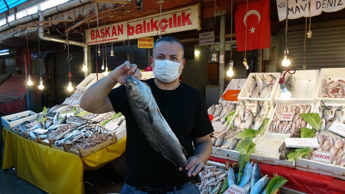 Balık bolluğu Mersin’de fiyatları yüzde 80 düşürdü
